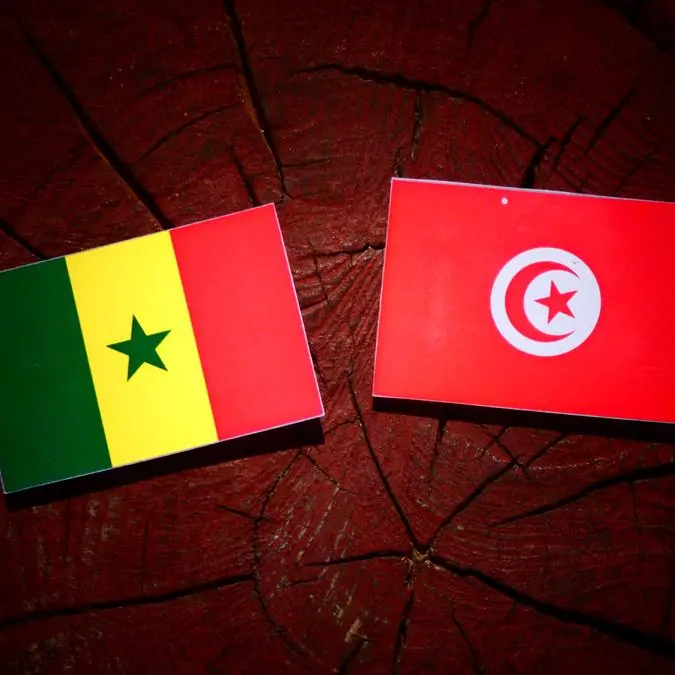 Tunisia keen to hold 9th Tunisian-Senegalese Joint Commision