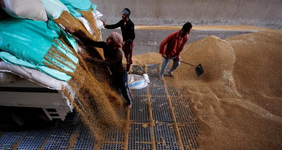 Egypt procured 3.55mln tonnes of local wheat this season so far, statement says