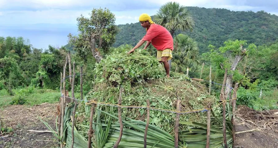 La Union farmers shift to drought-resistant crops to curb El Niño impact in Philippines