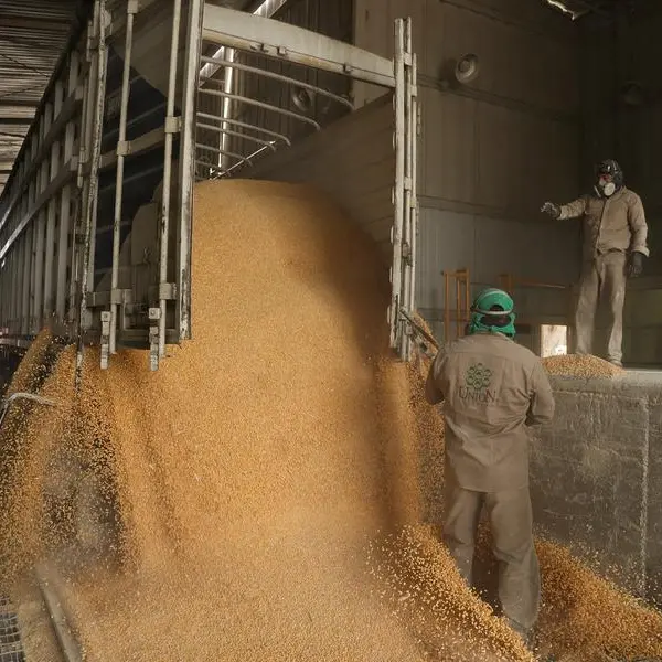 Corn edges higher after big US export sales