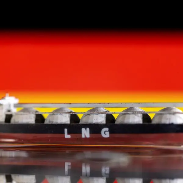German town opposed to LNG terminals asks for operator's finances to be checked