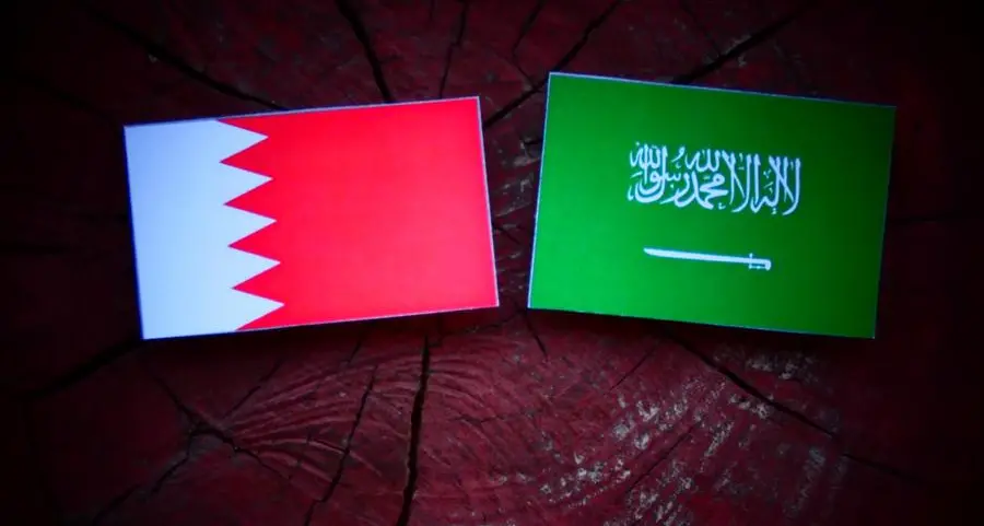 Saudi Arabia, Bahrain discuss mechanisms for developing bilateral and multilateral cooperation
