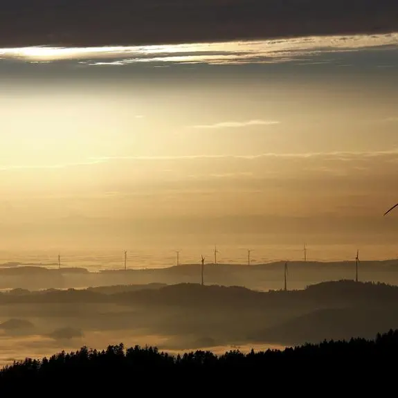 German spot drops on near tripling of wind power supply