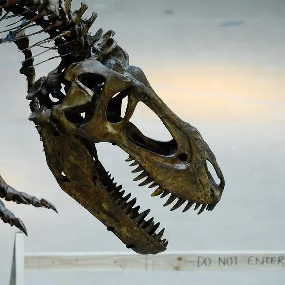 The first dinosaur was named 200 years ago