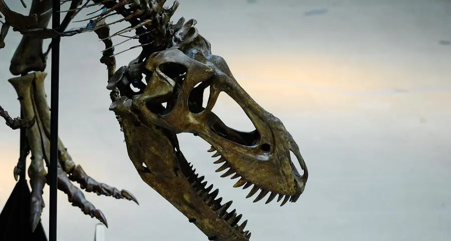 The first dinosaur was named 200 years ago