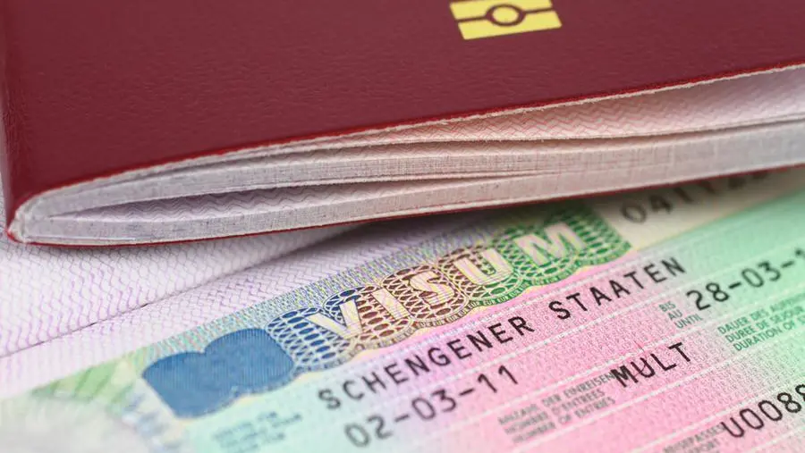 VIDEO: Schengen visa update: Digitalisation to slash processing time