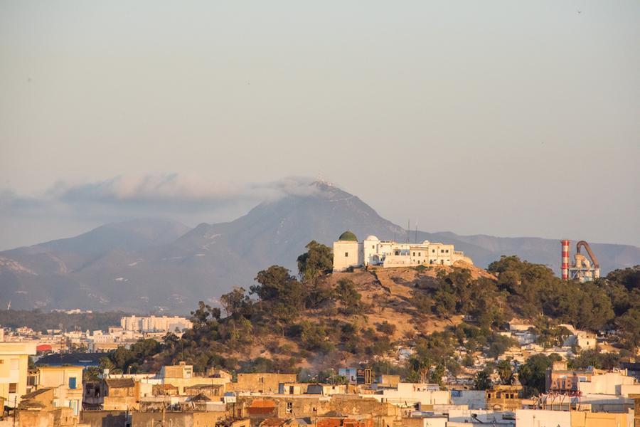 Tunisia: President Kais Saied receives Task Force final report on environmental crisis in Gabes