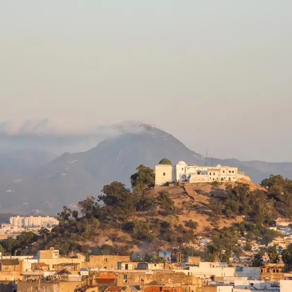 Tunisia: President Kais Saied receives Task Force final report on environmental crisis in Gabes