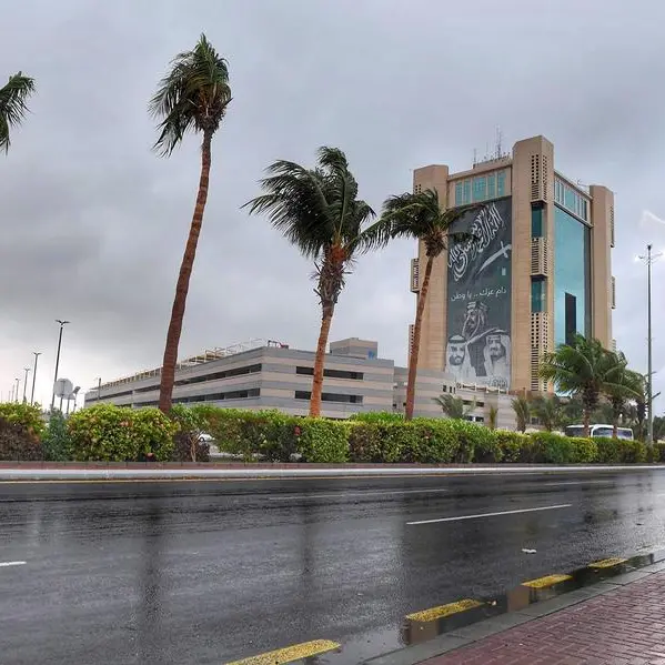 NCM study: Frequency of rainfall will increase throughout Saudi Arabia in future