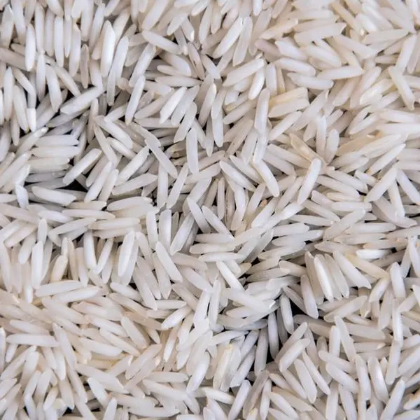 Nigeria rice imports forecasted to be among highest globally in 2024