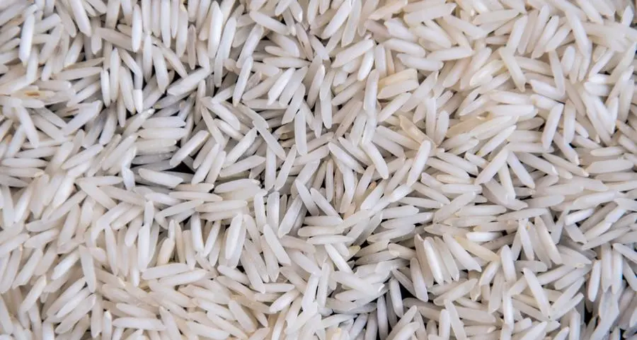 Nigeria rice imports forecasted to be among highest globally in 2024