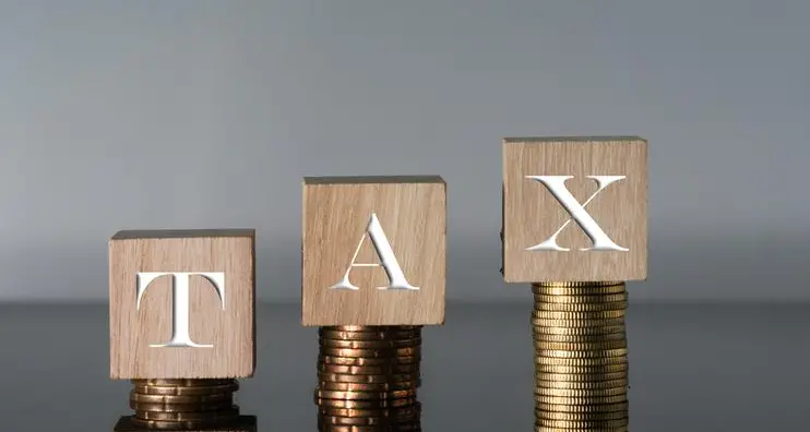 Egypt says no plan for tax hikes