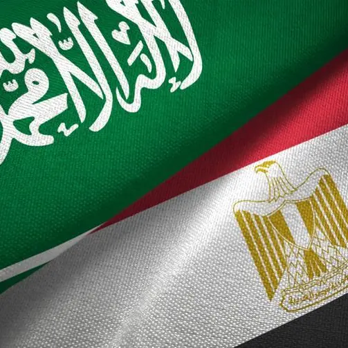 Egypt, Saudi Arabia discuss joint economic cooperation