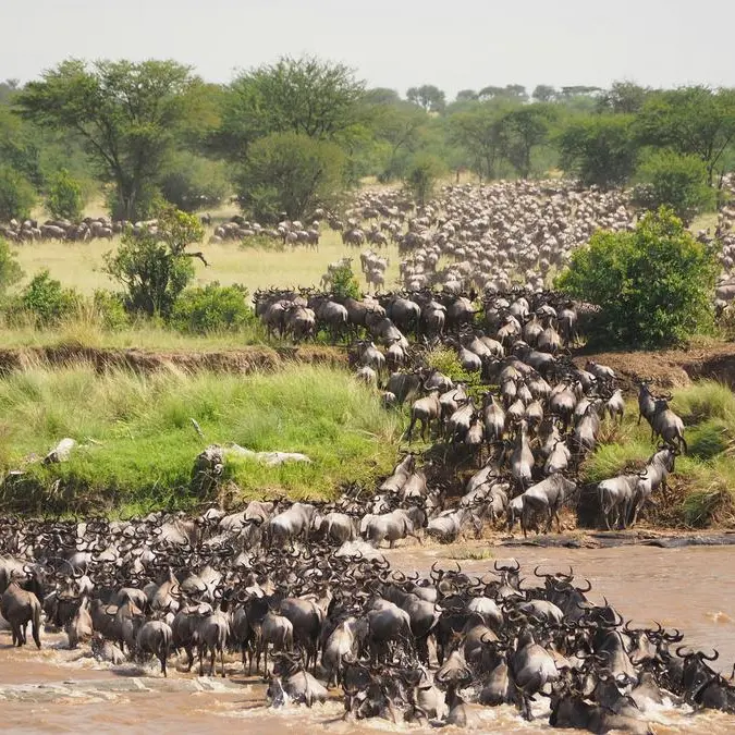 ENVI Lodges expands its presence in Tanzania with a new tented camp in the Mara region