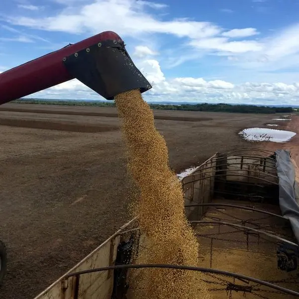 Soybeans fall, near 7-month low on U.S. weather; wheat eases