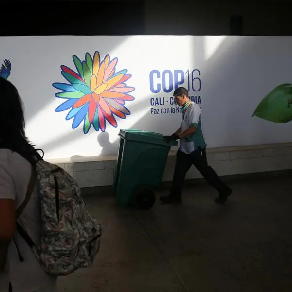 World lags on 2030 nature goals headed into UN COP16 talks