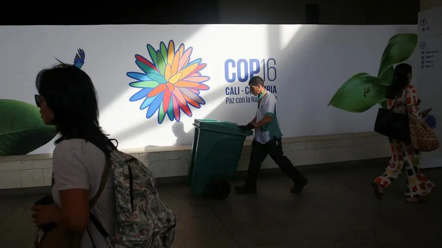 COP16 ‘Green Zone’ opens to public at December 2 start of UN Conference in Riyadh