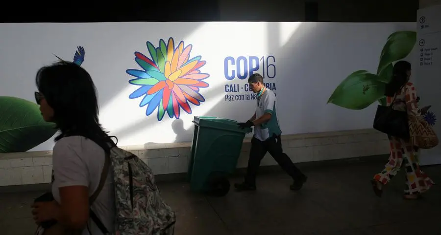 COP16 ‘Green Zone’ opens to public at December 2 start of UN Conference in Riyadh