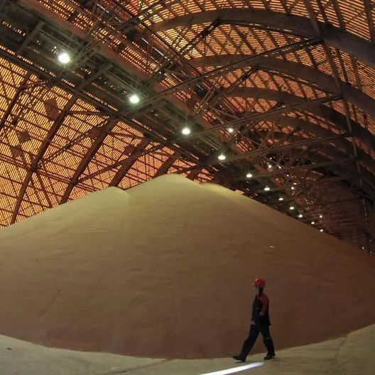 Morocco set to launch potash project: report\n