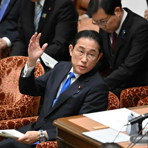 Japan enacts laws for new foreign worker scheme