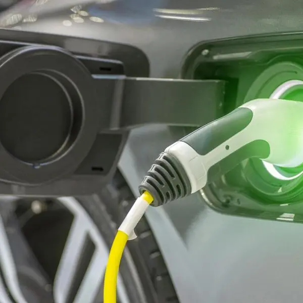 JFZIC announces 105.3% increase in electric car clearance: Jordan