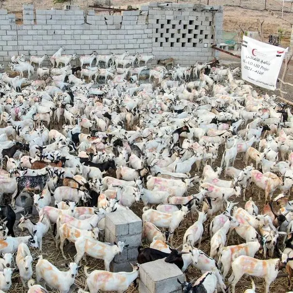 UAE: ERC launches sacrificial meat distribution project in Hadramaut