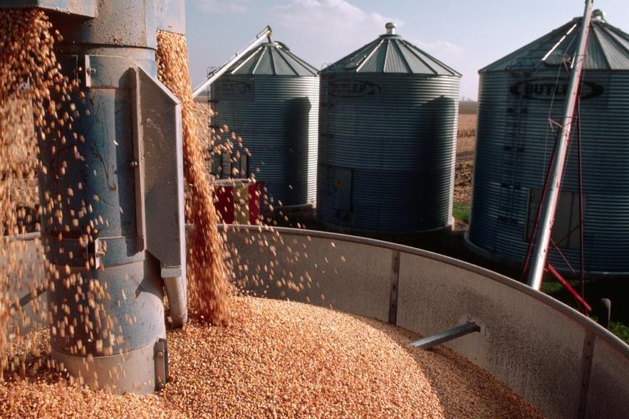 Egypt: Cabinet greenlights Feerum Egypt’s establishment to localize grain silos production