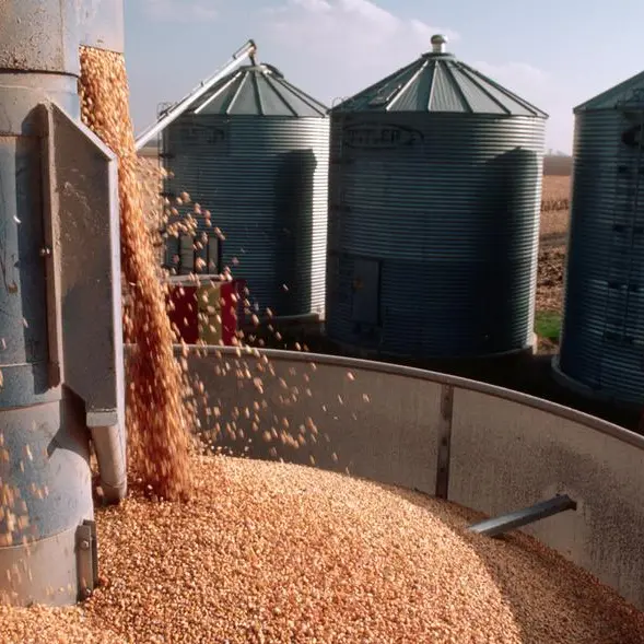 Egypt: Cabinet greenlights Feerum Egypt’s establishment to localize grain silos production