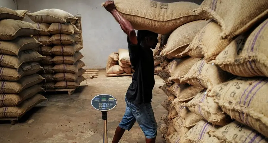 Ghana delays cocoa shipments, impacting global chocolate industry