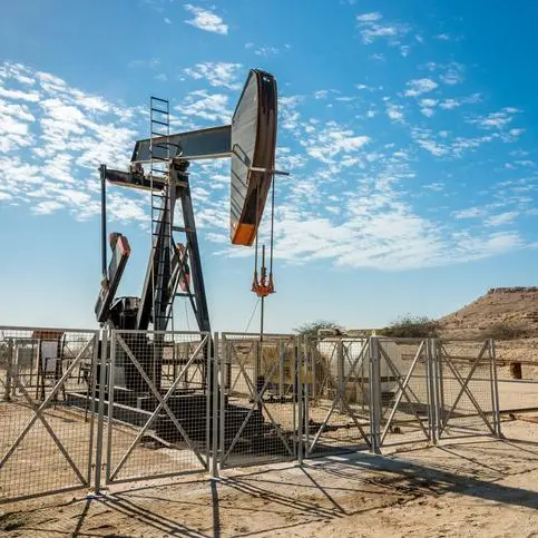 Jordan to drill 8 wells in key gas field
