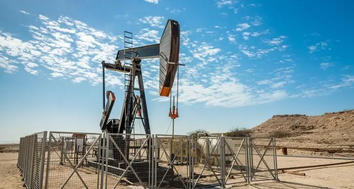 Jordan to drill 8 wells in key gas field