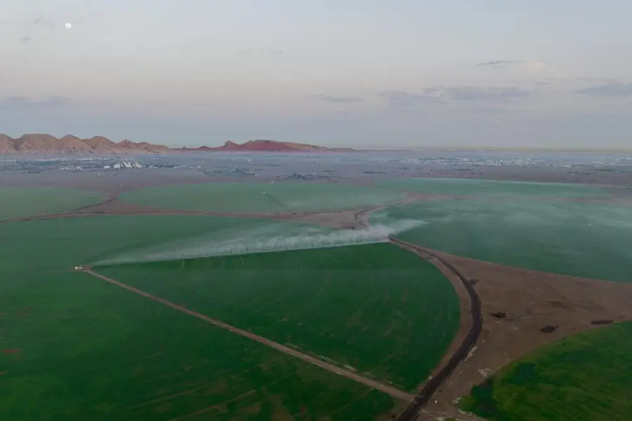 <p>Photo used for illustrative purpose only. A view of the wheat farm in Mleiha, Sharjah. The farm, which will eventually span 1,400 acres,&nbsp;was launched in 2022 to cover the food needs of Sharjah&rsquo;s cities and regions.</p>\\n