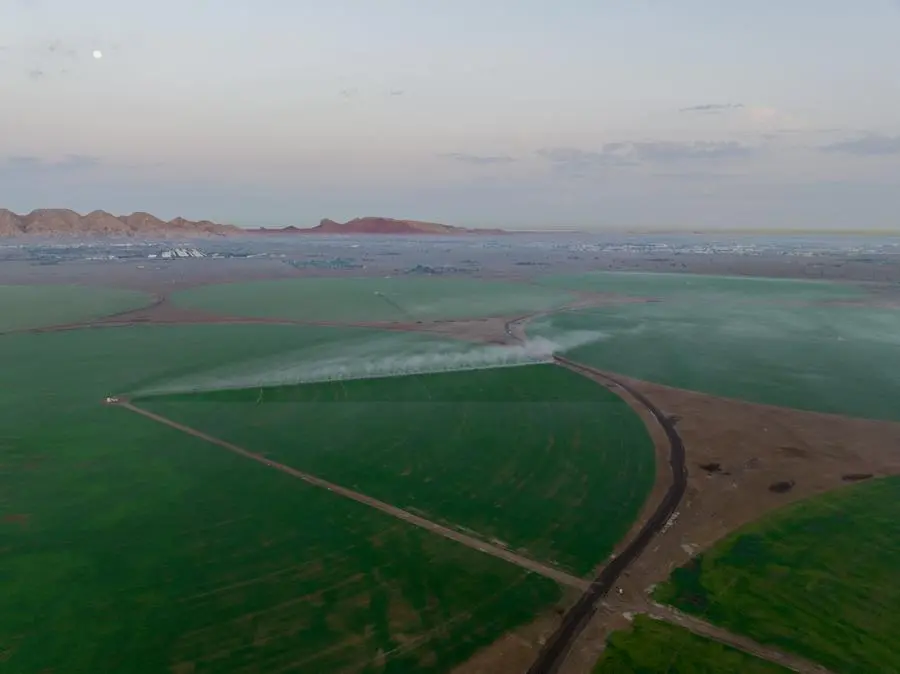 Sharjah Ruler inspects Mleiha wheat farm.\\nImage courtesy WAM