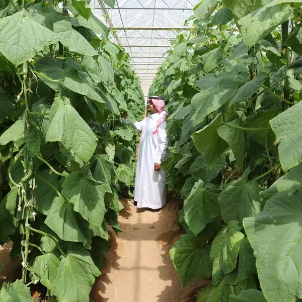 The relationship: Climate change and food security