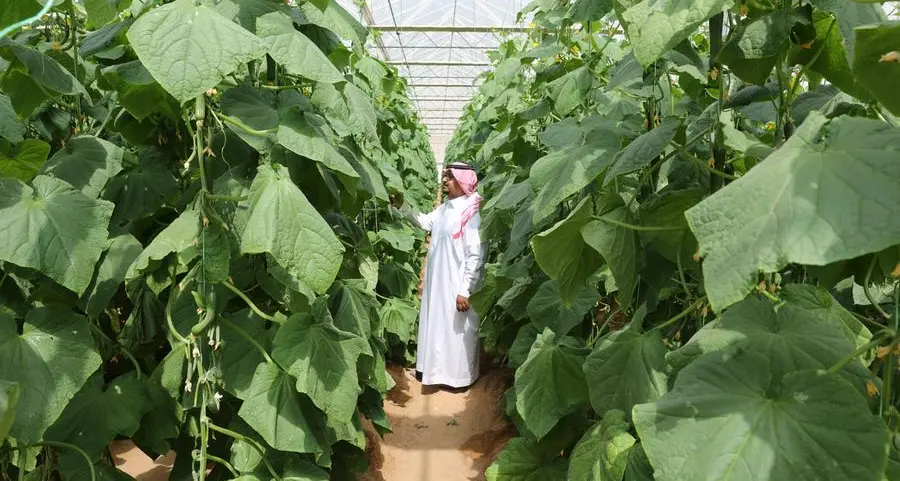 The relationship: Climate change and food security