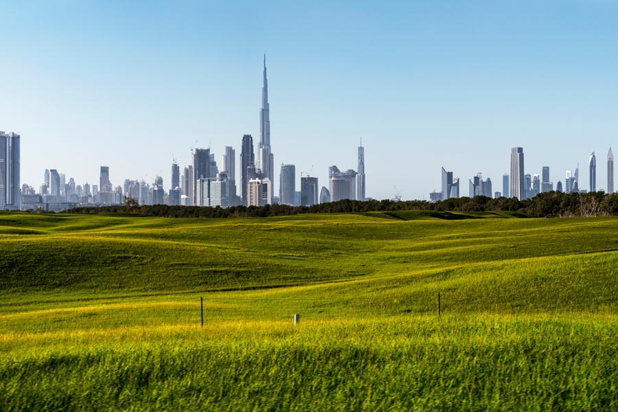 دبي للثقافة ومعهد فكر يناقشان فرص الاقتصاد العربي الإبداعي