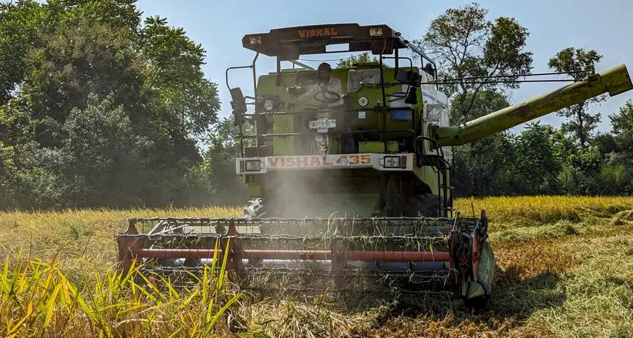 India's basmati rice exports to fall as Pakistan's surge