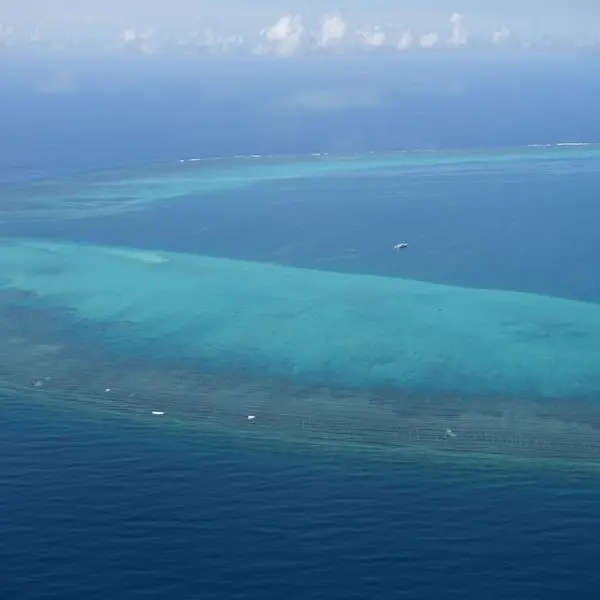 Philippines vows to remove future barriers at disputed reef