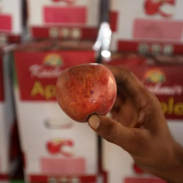 Kashmir farmers protest India's decision to cut tax on imported US apples