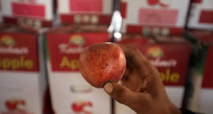 Kashmir farmers protest India's decision to cut tax on imported US apples