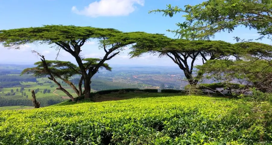 Top 10 African countries with the highest petrol prices in October 2025