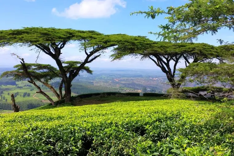 Top 10 African countries with the highest petrol prices in October 2025