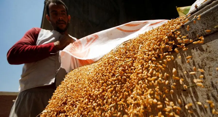 مصر ستوقع اتفاقية قرض لتمويل عمليات شراء الحبوب مع صندوق أبوظبي للتنمية - وزير التموين المصري