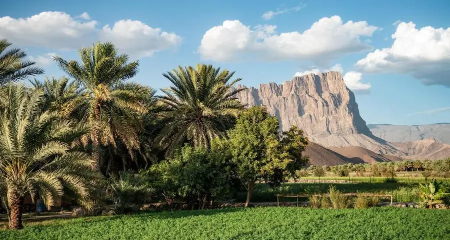 Oman: Traffic survey starts for Saham Agricultural City planning