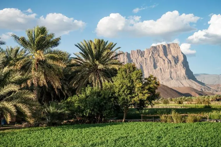 Cloud seeding boosts rainfall in Oman by 15-18%