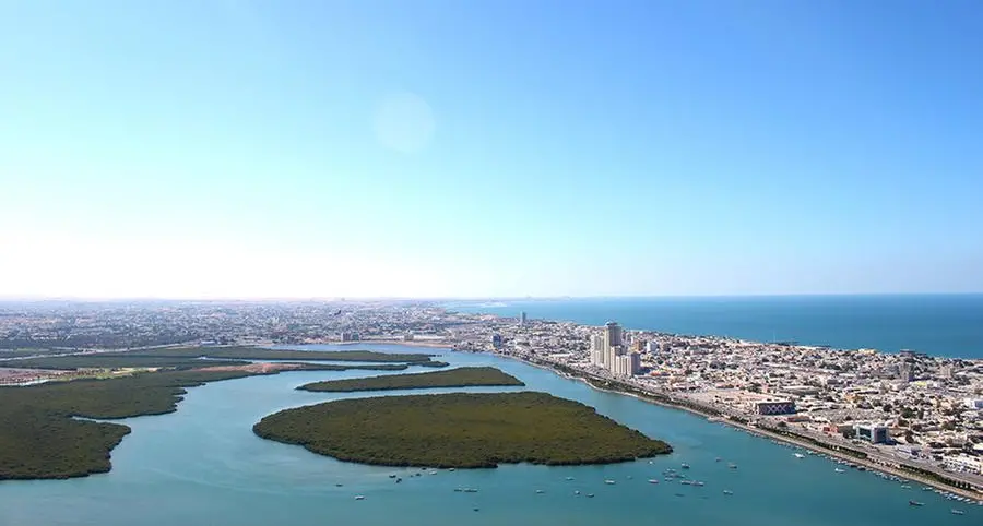 Chinese business owners explore investment opportunities in Ras Al Khaimah