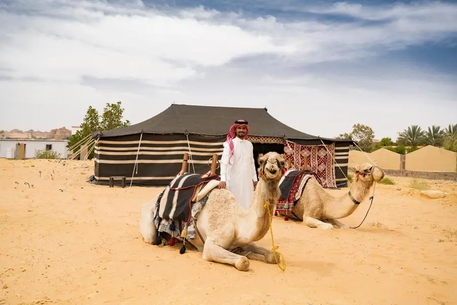Grace period for return of non-Saudis' camels to their countries