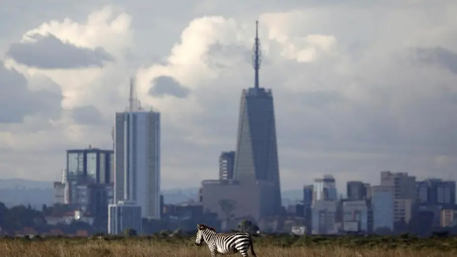 Mixed outlook for African currencies