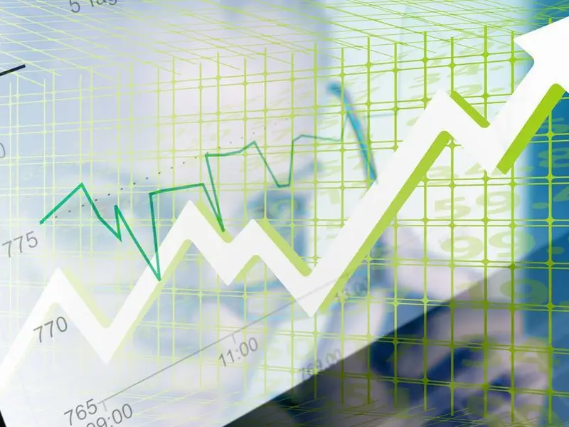 MENA equity capital market issuances soar in nine months fueled by follow-on issuances