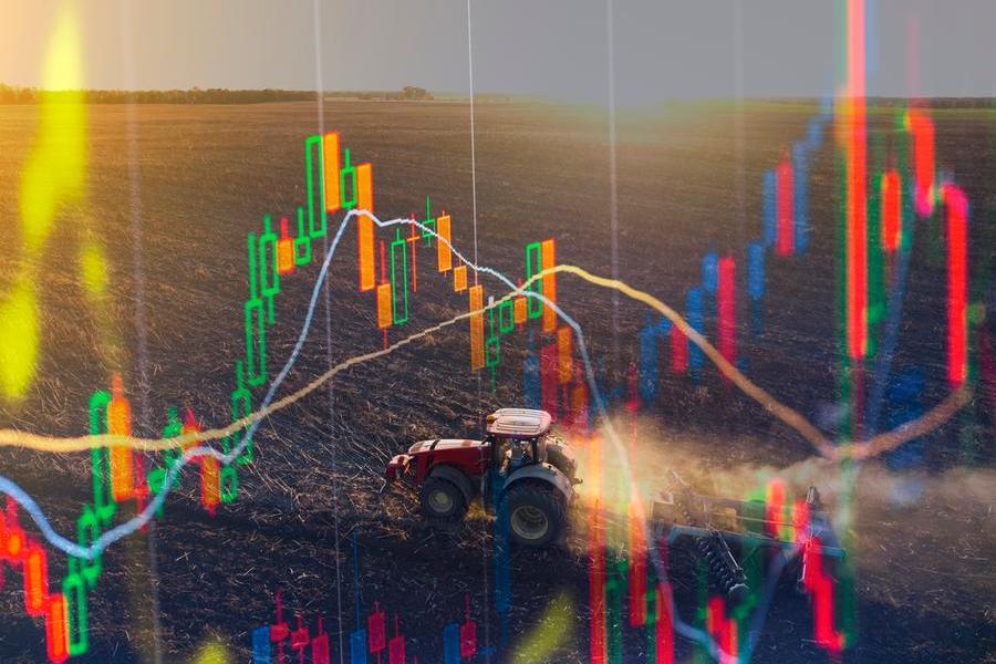 Global food prices down for 10th consecutive month in January